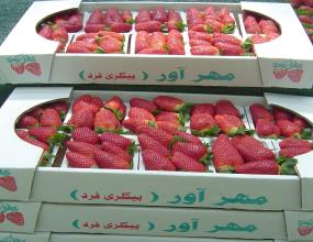 Strawberry for Sale